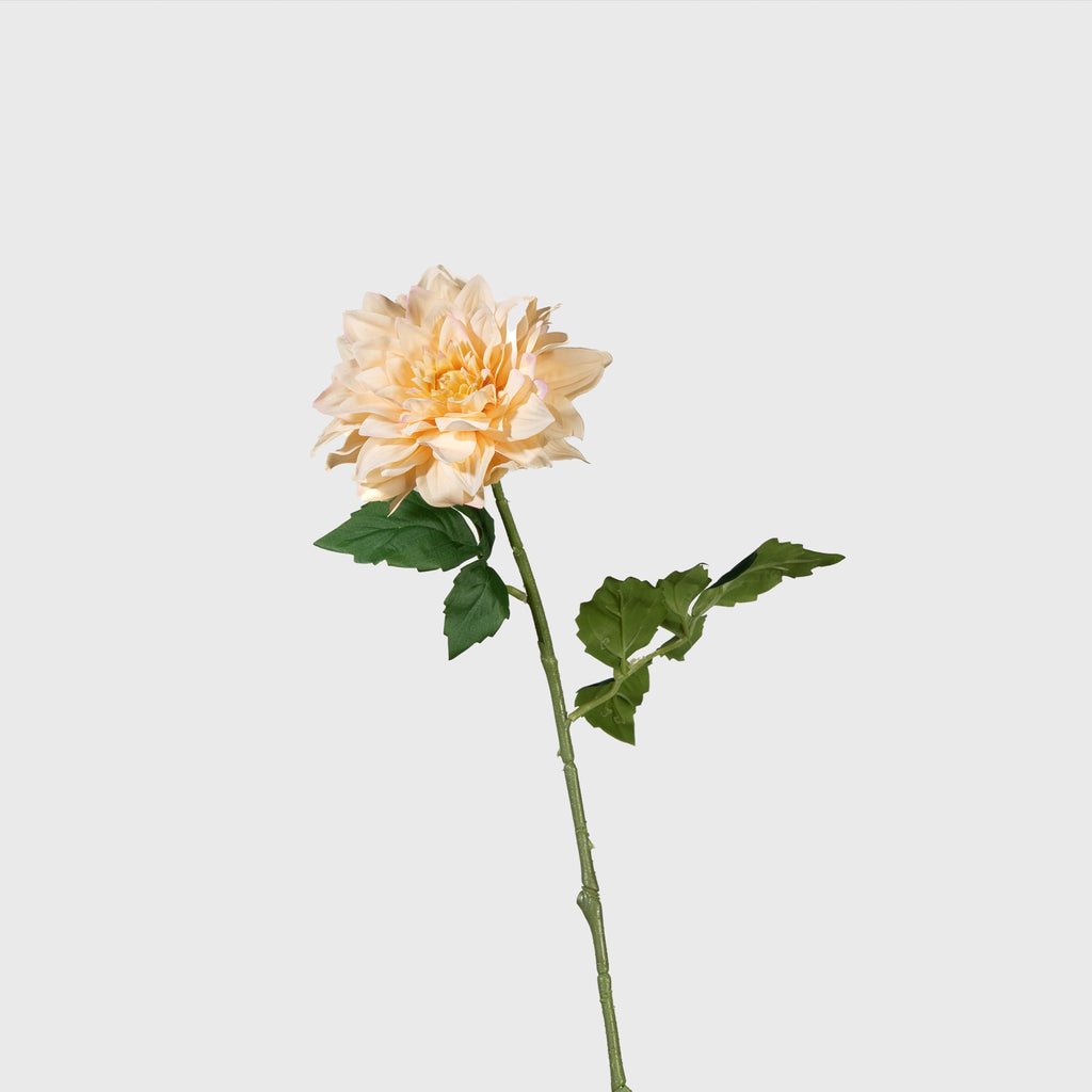 Real-touch Dahlia
