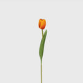 Real-touch Tulip