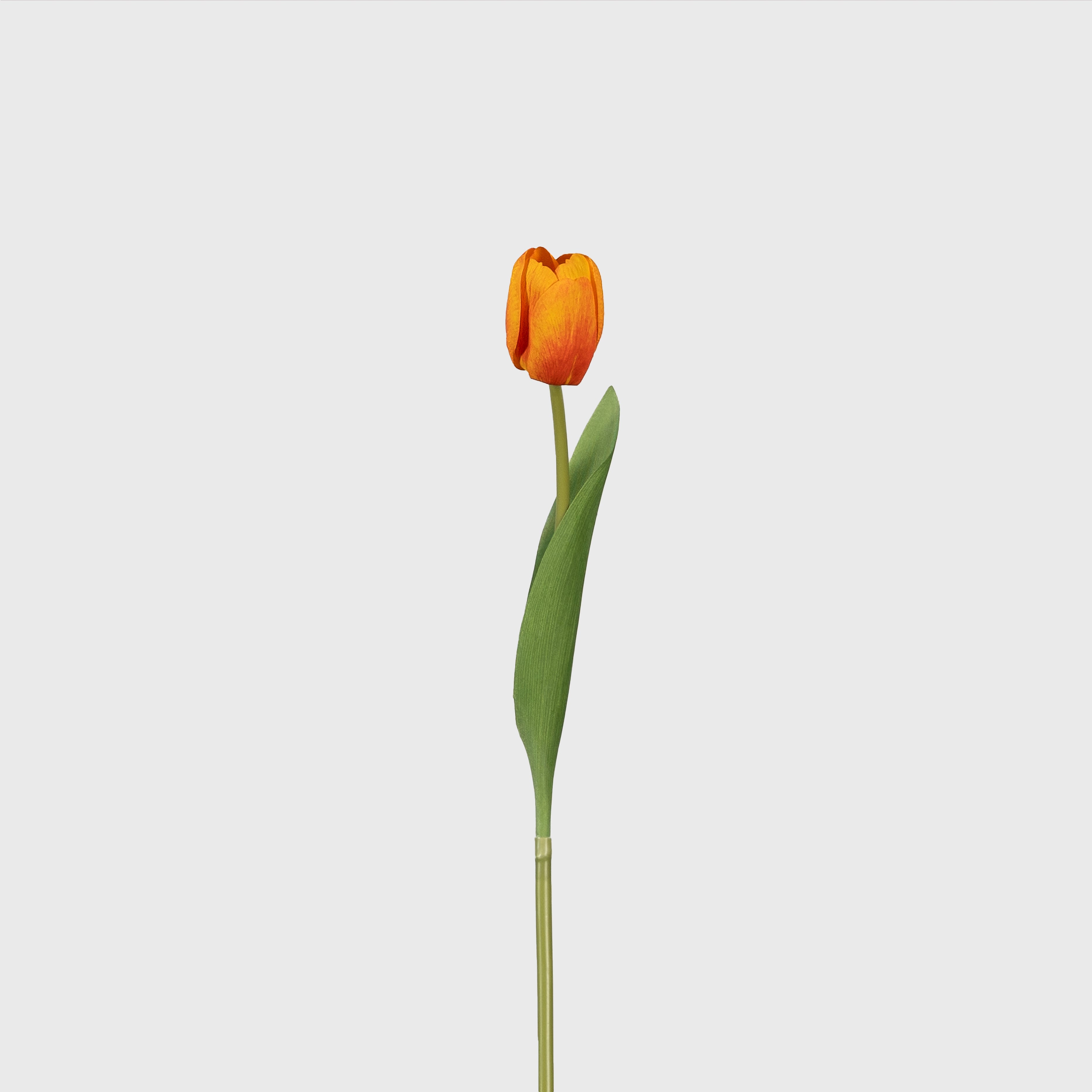 Real-touch Tulip