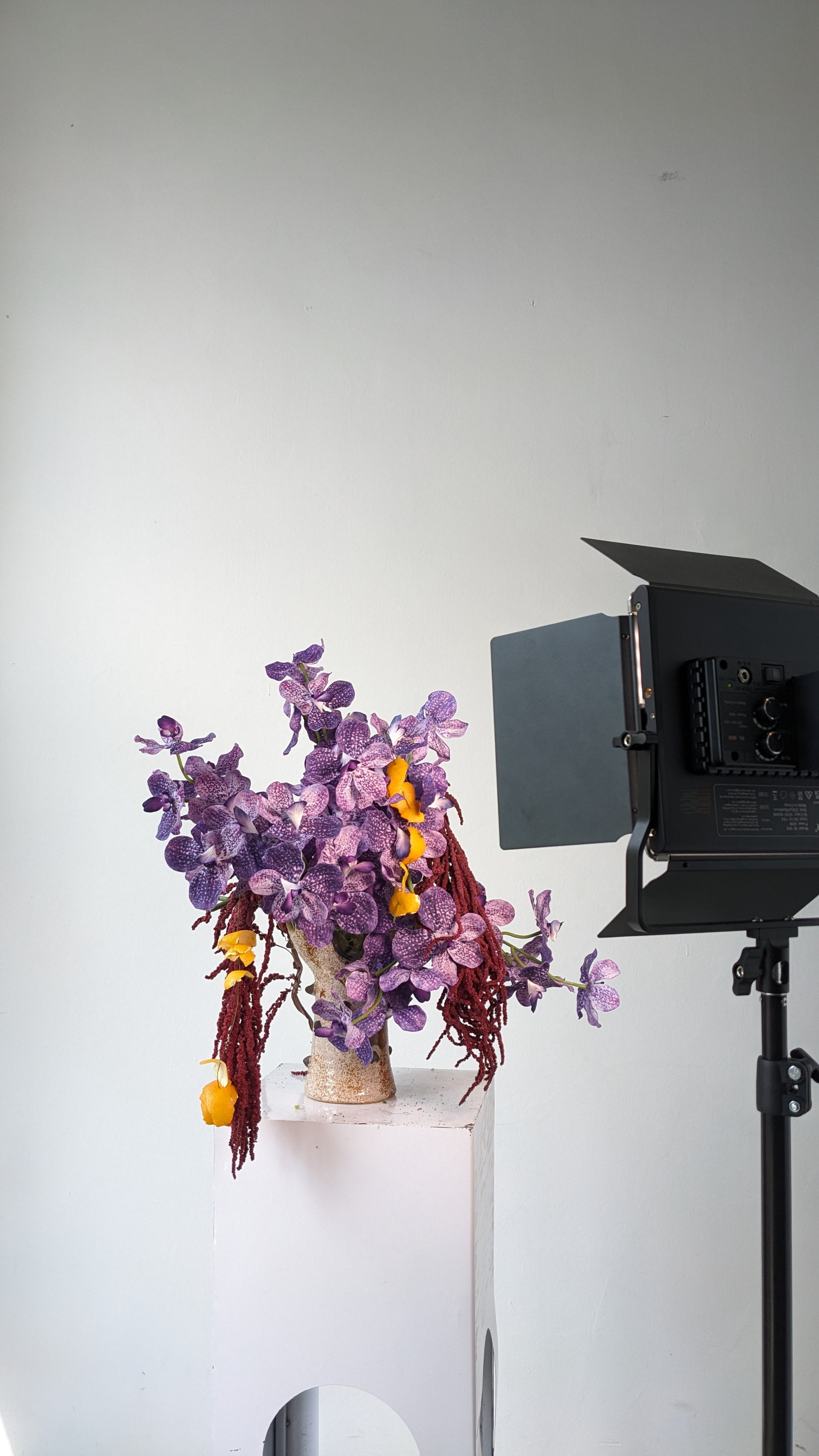 Real-touch Mokara Orchid